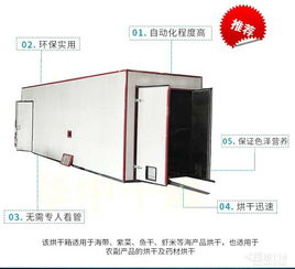 果蔬烘干機(jī) 現(xiàn)代家庭營(yíng)養(yǎng)與便捷的守護(hù)者